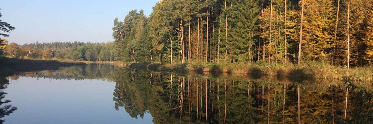 Polecamy wspaniałą okolicę.